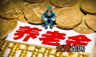 养老保险缴费标准 养老保险缴费标准是什么?