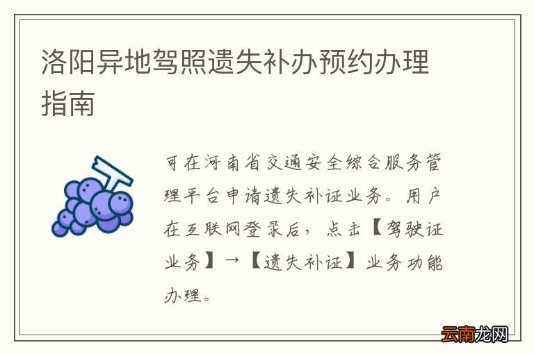 洛阳异地驾照遗失补办预约办理指南