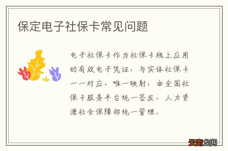 保定电子社保卡常见问题