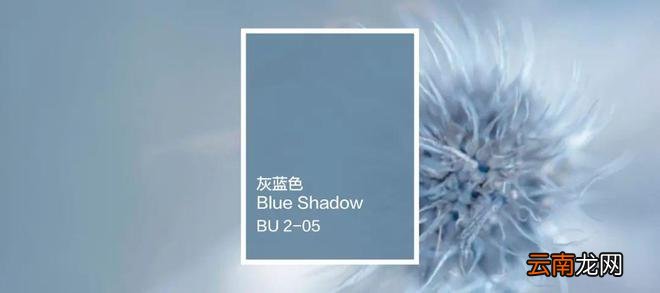 轻柔灰蓝色，精灵的絮语，如梦般的温柔氛围