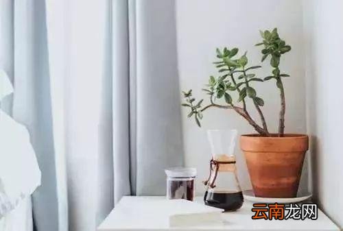 小尼宅配｜北欧风客厅搭配，分分钟装出新高度！