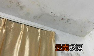 在一楼房间太潮湿怎么解决 住在一楼潮湿怎么办
