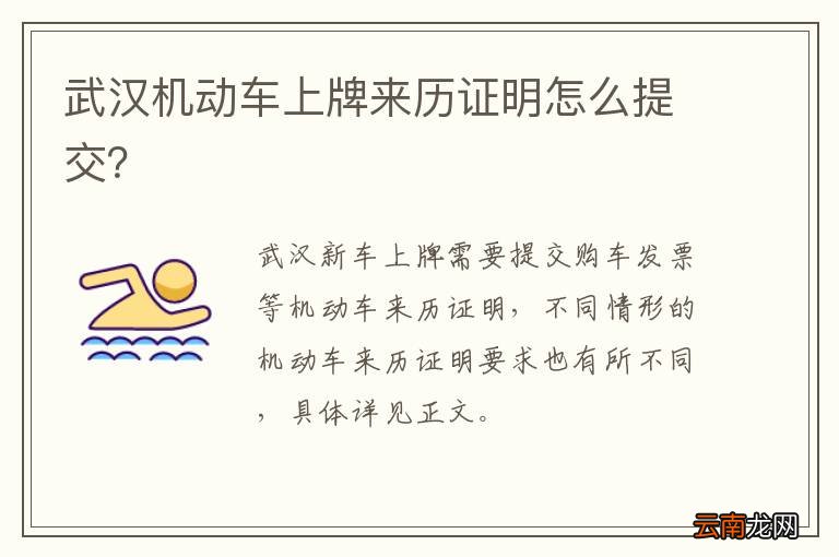 武汉机动车上牌来历证明怎么提交？