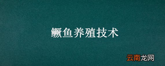 鳜鱼养殖技术