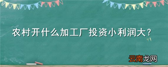 农村开什么加工厂投资小利润大