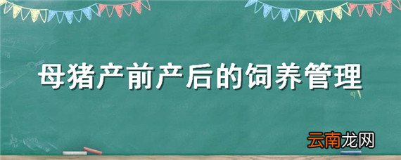 母猪产前产后的饲养管理