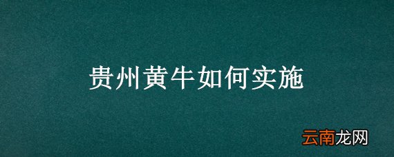 贵州黄牛如何实施