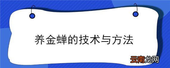 养金蝉的技术与方法
