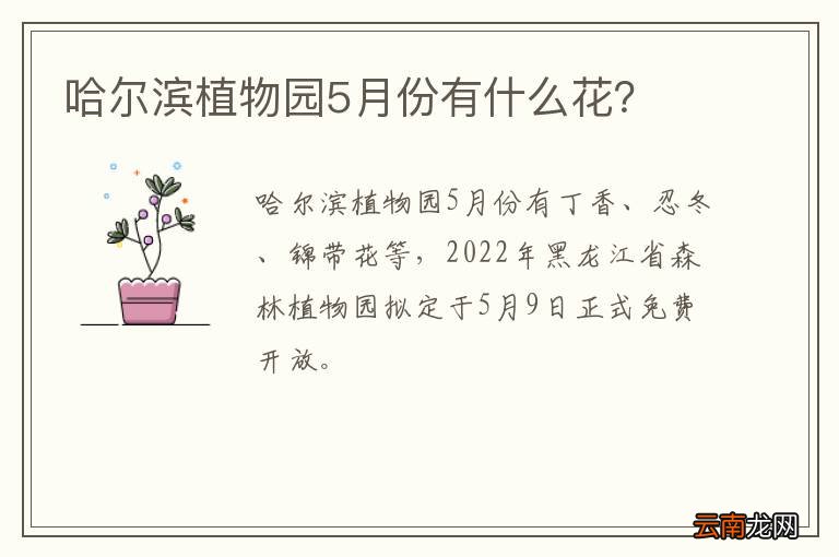 哈尔滨植物园5月份有什么花？