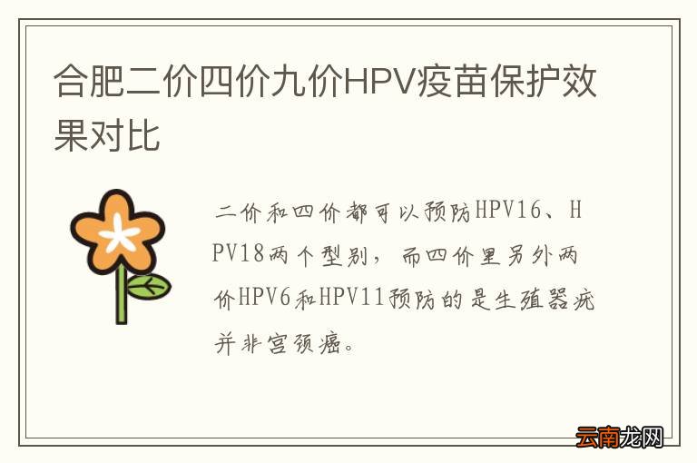 合肥二价四价九价HPV疫苗保护效果对比