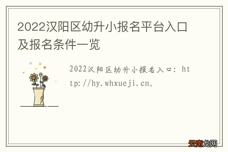 2022汉阳区幼升小报名平台入口及报名条件一览