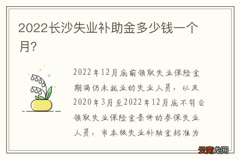 2022长沙失业补助金多少钱一个月？