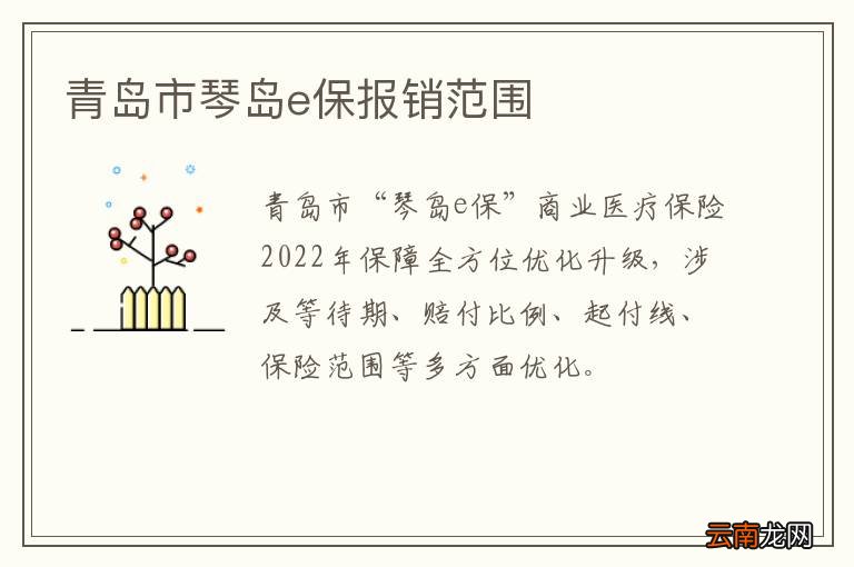青岛市琴岛e保报销范围