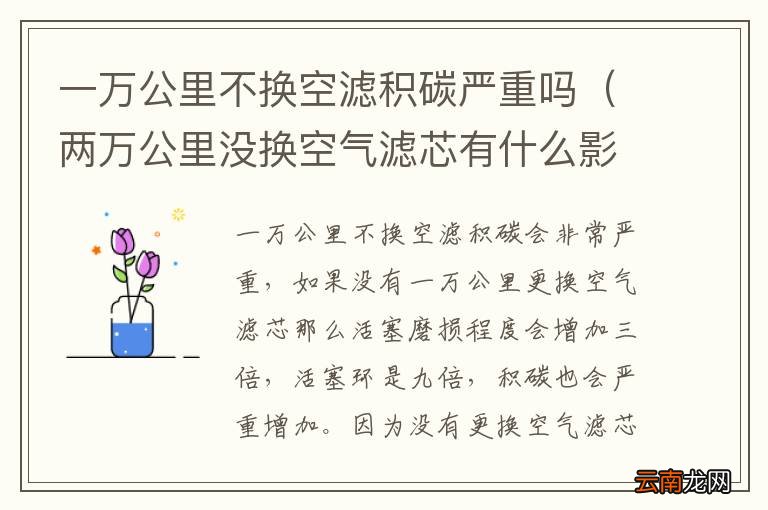 两万公里没换空气滤芯有什么影响 一万公里不换空滤积碳严重吗