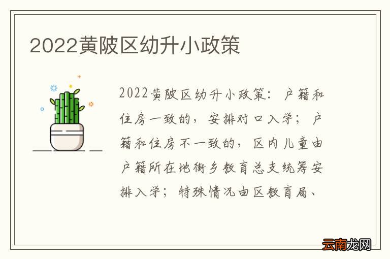 2022黄陂区幼升小政策