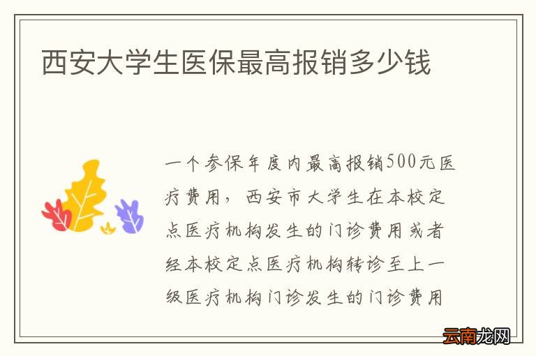 西安大学生医保最高报销多少钱