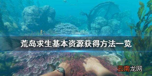 荒岛求生基本资源怎么获得 荒岛求生基本资源获得方法一览