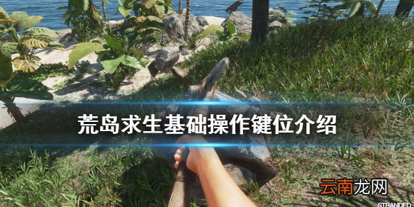 荒岛求生键位是什么 荒岛求生基础操作键位介绍