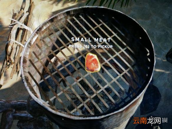 荒岛求生蝙蝠杀死方法 荒岛求生蝙蝠怎么玩？