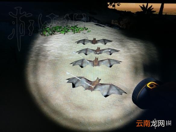 荒岛求生蝙蝠杀死方法 荒岛求生蝙蝠怎么玩？