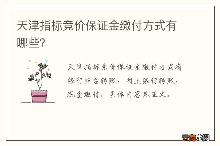 天津指标竞价保证金缴付方式有哪些？