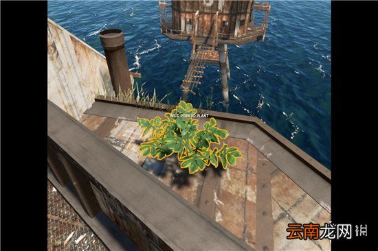 荒岛求生海上堡垒详解 荒岛求生海上堡垒在哪里