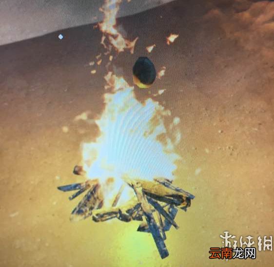荒岛求生怎么生火 0.24生火方法