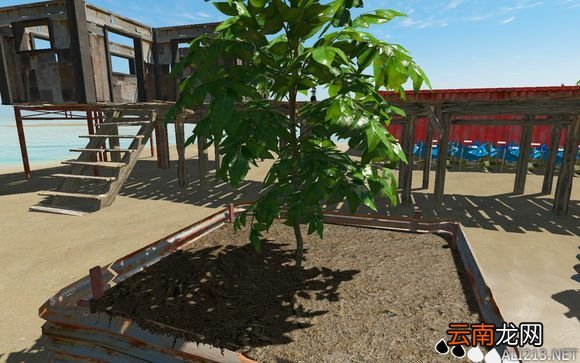 荒岛求生v0.22.00求生基础解析 种植药品淡水功能介绍 种植