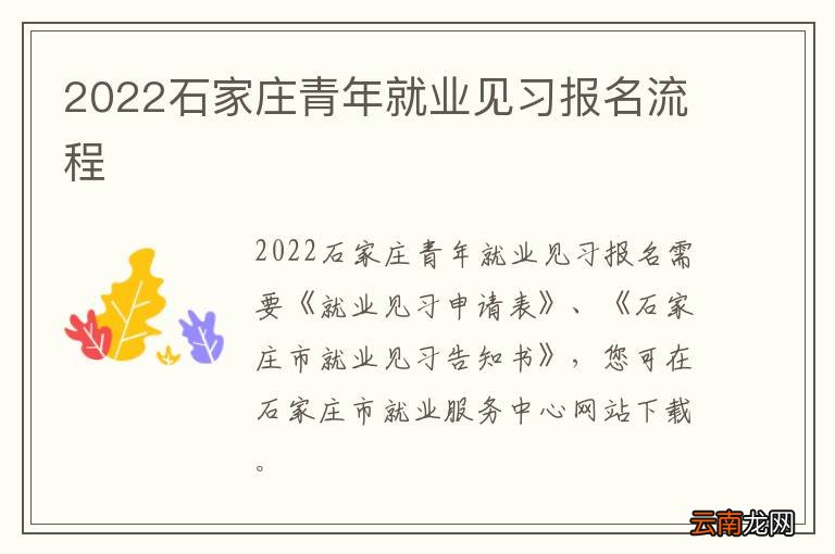 2022石家庄青年就业见习报名流程
