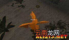 《荒岛求生》方向指示器如何制作 方向指示器制作方法攻略