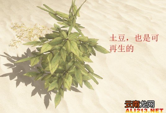 《荒岛求生》游戏生存图文教程攻略 新手注意事项及技巧解析