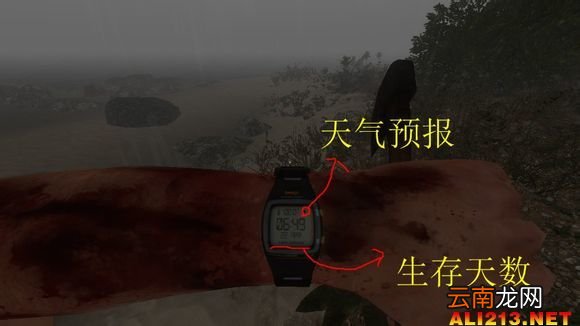 《荒岛求生》游戏生存图文教程攻略 新手注意事项及技巧解析