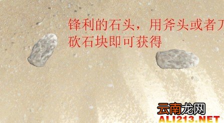 《荒岛求生》游戏生存图文教程攻略 新手注意事项及技巧解析