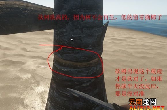 《荒岛求生》游戏生存图文教程攻略 新手注意事项及技巧解析