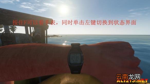 《荒岛求生》游戏生存图文教程攻略 新手注意事项及技巧解析