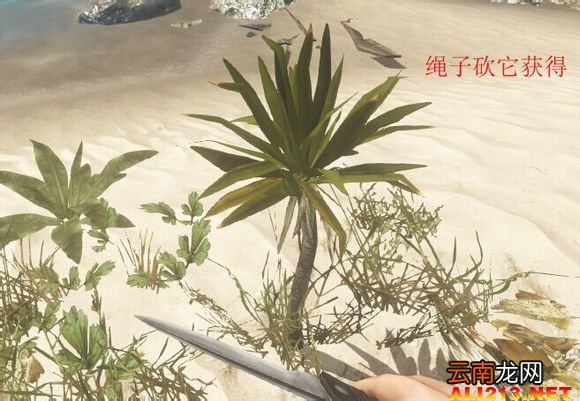 《荒岛求生》游戏生存图文教程攻略 新手注意事项及技巧解析