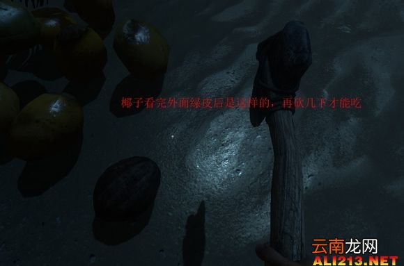 《荒岛求生》游戏生存图文教程攻略 新手注意事项及技巧解析