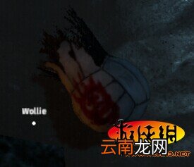 《荒岛求生》各种物品使用方法及资源分布一览