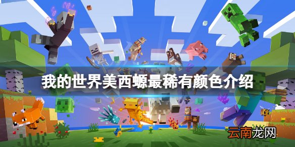 我的世界美西螈什么颜色最稀有 我的世界美西螈最稀有颜色
