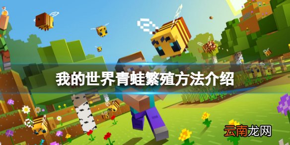 我的世界青蛙怎么繁殖 我的世界青蛙繁殖方法介绍