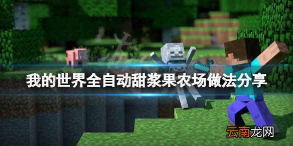 我的世界甜浆果农场怎么做 我的世界全自动甜浆果农场做法