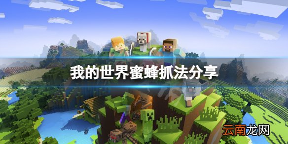 我的世界蜜蜂怎么抓 我的世界蜜蜂抓法分享