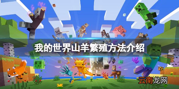 我的世界山羊怎么繁殖 我的世界山羊繁殖方法介绍