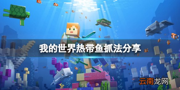 我的世界热带鱼怎么抓 我的世界热带鱼抓法分享