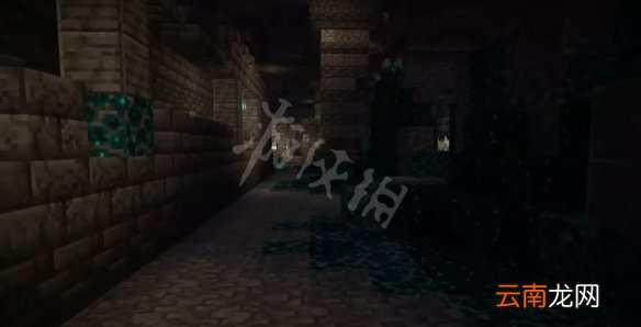 我的世界1.19新生物群系有什么 我的世界1.19新生物群系介绍