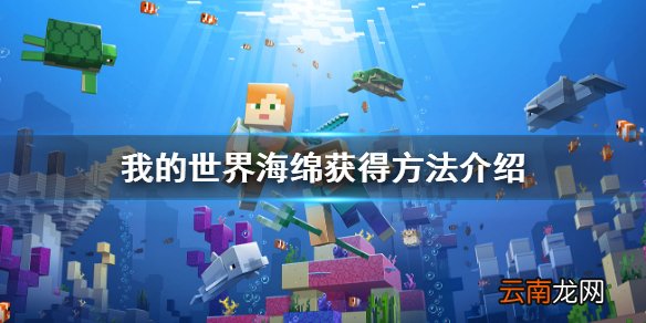 我的世界海绵怎么获得 我的世界海绵获得方法介绍