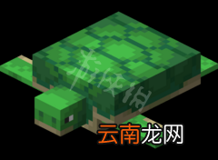 我的世界海龟怎么繁殖 我的世界海龟繁殖方法介绍