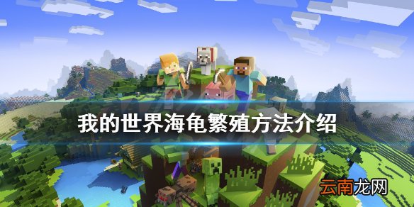 我的世界海龟怎么繁殖 我的世界海龟繁殖方法介绍