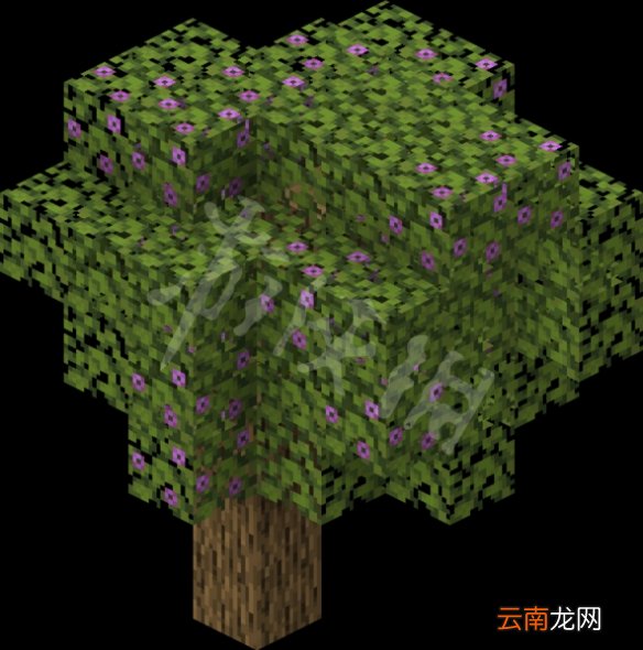 我的世界杜鹃花树怎么找 我的世界杜鹃花树刷新位置介绍