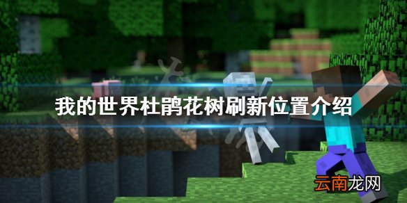 我的世界杜鹃花树怎么找 我的世界杜鹃花树刷新位置介绍